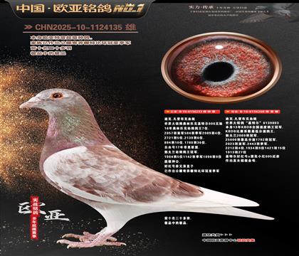 �Ͽ�.���ǲ���Ѫͳ���ض�233X260�������