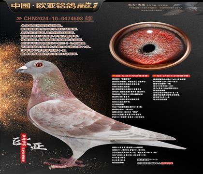 ղɭ���659X919ֱŮ080