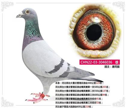 �ӱ���̨���ׯ��������ᾫӢ�������ۺ�53��   ��