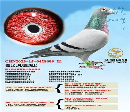 �Ǳ�.�����ɱȡ�³�ϡ�ֱ��x����������ŷ��ֱŮ