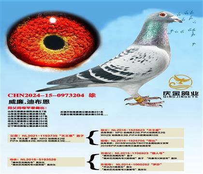 ����.�ϲ����������ǡ�ֱ��x����ƥ�ˡ�쫷�š�ֱ��Ů