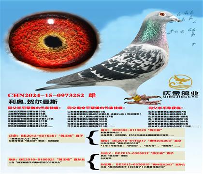 ����.�ն���˹�������ֱ��x�������ֱ��Ů