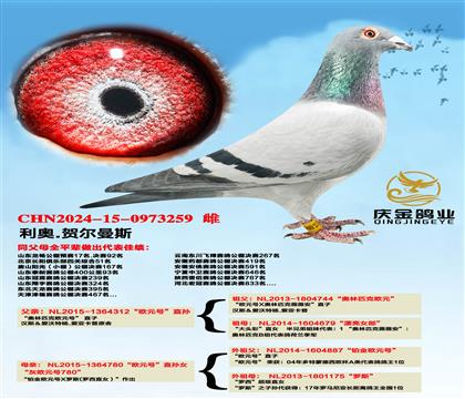 ����.�ն���˹��ŷԪ�š�ֱ��x��ŷԪ�š�ֱ��Ů