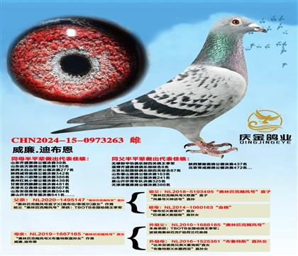 ����.�ϲ���������ƥ��쫷�š�ֱ��x������ƥ��쫷�š�ֱŮ