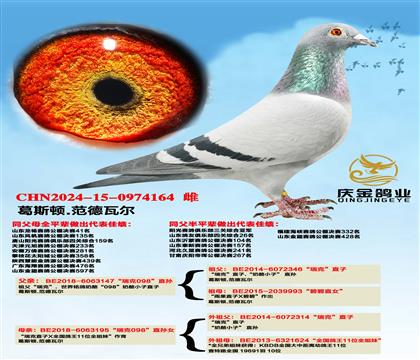 ��˹��.�����߶������098��ֱ��x�����098��ֱ��Ů