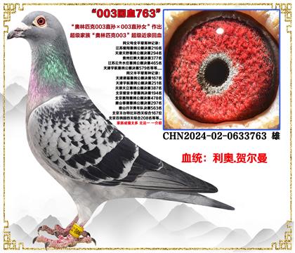 ���¡�����ƥ��003ֱ���003ֱ��Ů�����ؽ��׻�Ѫ