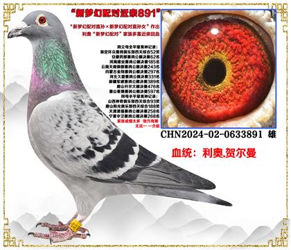 ���¡����λ����ֱ������λ����ֱ��Ů�����׻�Ѫ