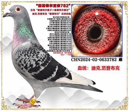 �Ͽ�.���ǲ��ˡ��»��ض�ֱ�ӡ��»��ض�ֱŮ����Ѫ