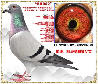 ��.������˹��Ů�����޺š�������׻�Ѫ