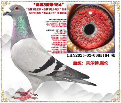 ������.���� ���ܻ�3�Ž��ס��ܻ�3������Ů��