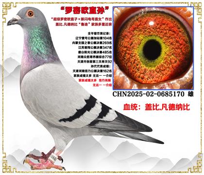 �Ǳ�.�����ɱȡ���������ŷֱ��X������ֱŮ������