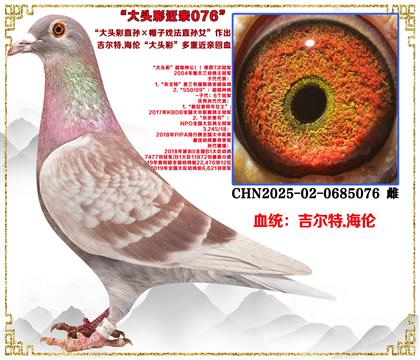 ������.���ס���ͷ��ֱ���ñ��Ϸ��ֱ��Ů������