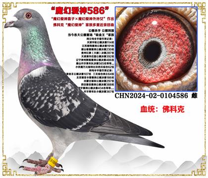 ��ƿˡ�ħ�ð���ֱ�ӡ�ħ�ð�������Ů����������