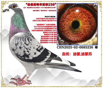 �ϻ�.�����ա���ѻ��ض�ȫ�ֵ�ֱ�ӡ���С����ѻ��ض�ȫƽ����