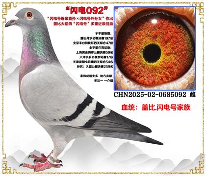 �Ǳȡ�����Ž���ֱ������������Ů������