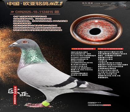 ����Xɣ��ʿֱ��989Xɣ��ʿ682��ĸ