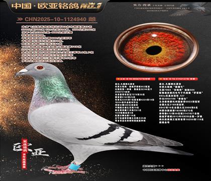 �Ǳ�ԭ�ᳬ������ŷֱ��727X��ӥ��127