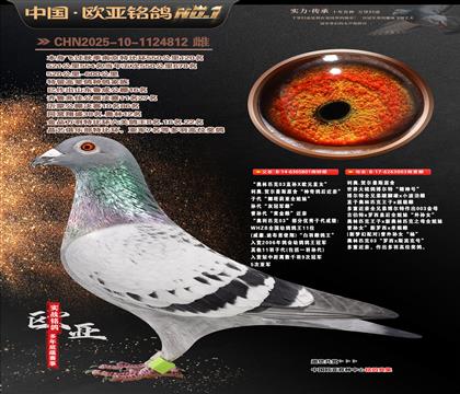 ����ƥ��03ֱ��XŷԪֱŮ801X����003