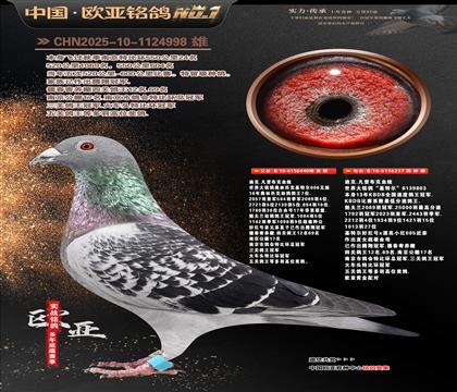 �Ͽ�.���ǲ���440X���ض�237�ƽ����