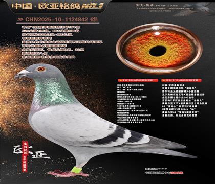 ����ԭ��851X003