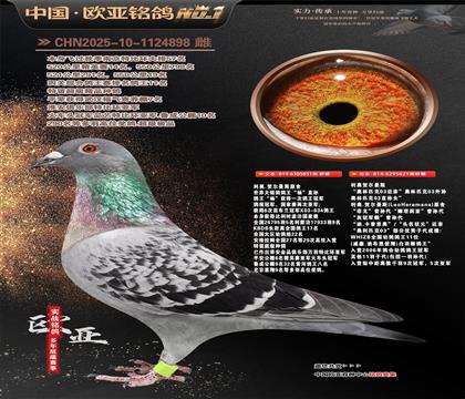 ����ԭ��851X����ƥ��03����621