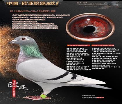 ����Xɣ��ʿֱ��989Xɣ��ʿ682