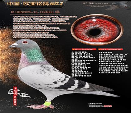 ����ԭ��������851X�������ֱ��818����