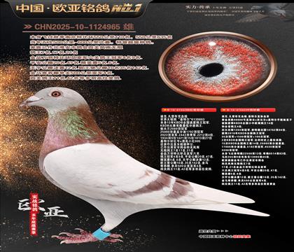 �Ͽ˷��ǲ���288X�ƽ���ŷ40000��