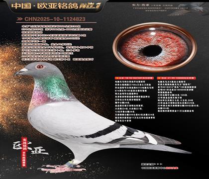 ����041Xɣ��ʿ006