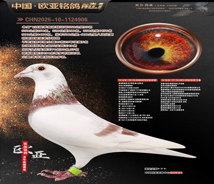 �������Ĺظ���ʮ��293X̩ɽ988