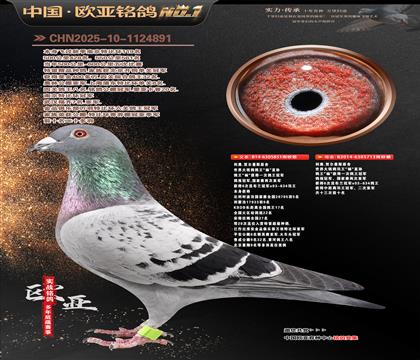 ����ԭ��851X��ֱ��Ů713