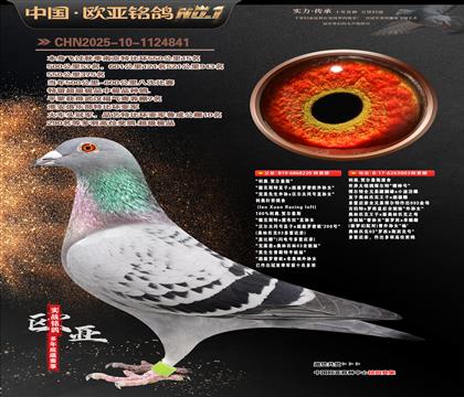 ����ԭ��220X���������۴�003