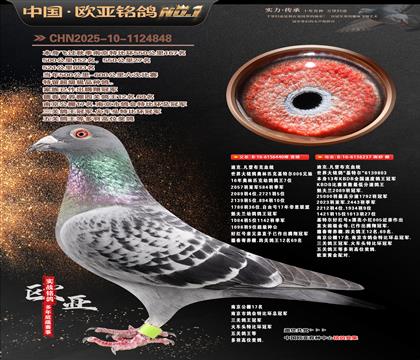 �Ͽ�.���ǲ���440X���ض�237�ƽ����