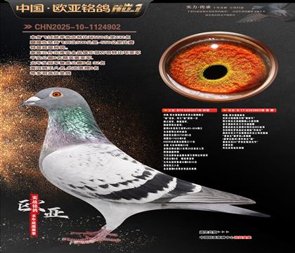 ����ԭ�������851��X�����003