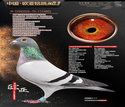 �Ǳ�ԭ�ᳬ������ŷֱ��727X��ӥ��127