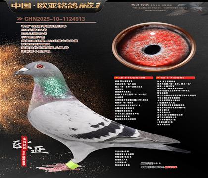 ����ԭ��851x895