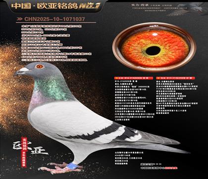 �Ǳ�ԭ��³��ֱ��030X�������398