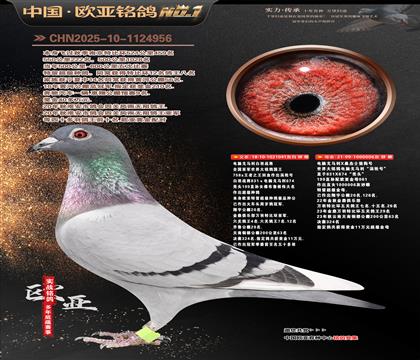 ����041Xɣ��ʿ006