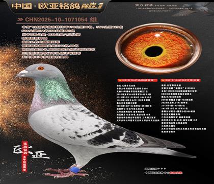 �Ͽ�.���ǲ���440X���ض�237�ƽ����