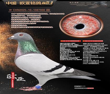 ����Xɣ��ʿֱ��989Xɣ��ʿ682��ĸ