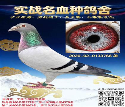 ����������빫�����233��