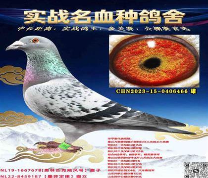 쫷��Xī�ƶ���