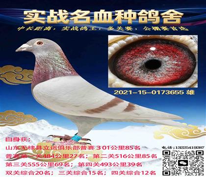 �Ͽ˷��ǲ���