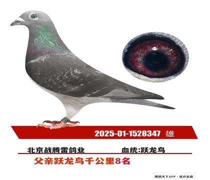 Ծ��������