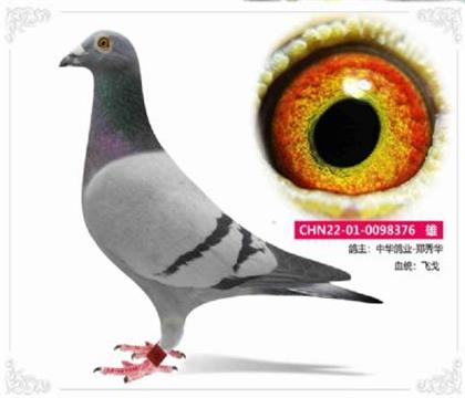 �л���ҵ�ɸ�