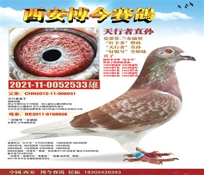 ����ţ�š����ֵ�