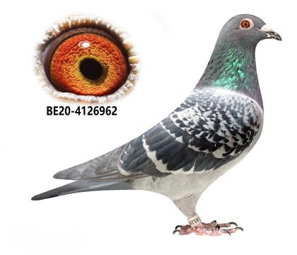 ������.�ನ����ԭ��