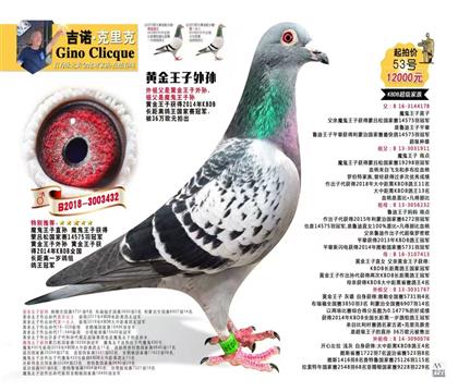 ��ŵԭ�᣺�ƽ���������