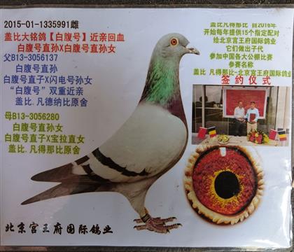 �������������ǱȰ׸��Ž���