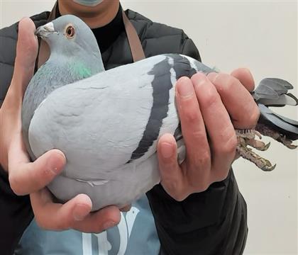 �ٰ���-����